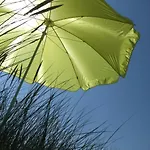 Haus Auf Der Warft In Wangerland *