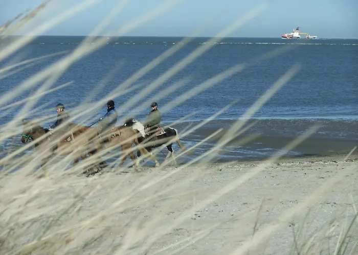 Nyaraló Haus Auf Der Warft In Wangerland Schillig